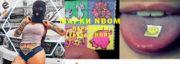 ГАЛЛЮЦИНОГЕННЫЕ ГРИБЫ Гусев