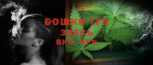 ГАЛЛЮЦИНОГЕННЫЕ ГРИБЫ Гусев