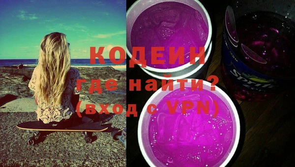 ГАЛЛЮЦИНОГЕННЫЕ ГРИБЫ Гусев