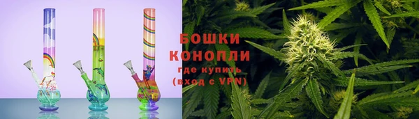 спайс Гусь-Хрустальный