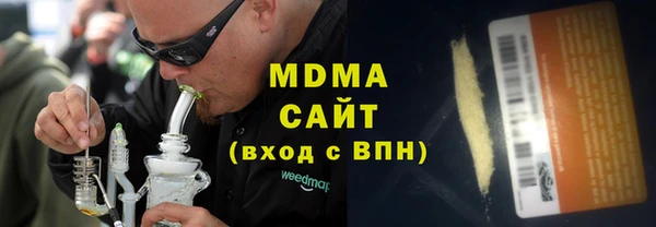 ГАЛЛЮЦИНОГЕННЫЕ ГРИБЫ Гусев