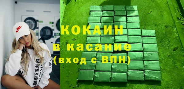 ГАЛЛЮЦИНОГЕННЫЕ ГРИБЫ Гусев