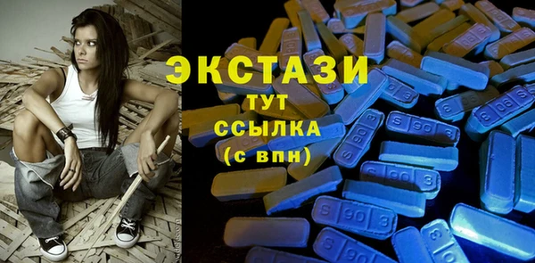 ГАЛЛЮЦИНОГЕННЫЕ ГРИБЫ Гусев