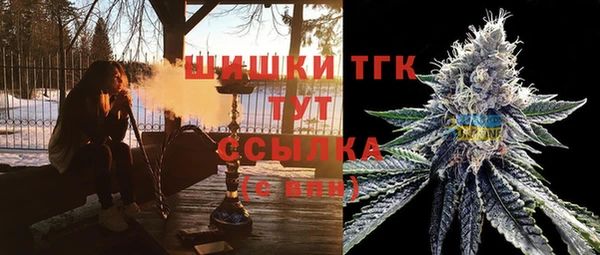 МДПВ Дмитров