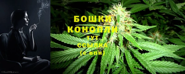 спайс Гусь-Хрустальный