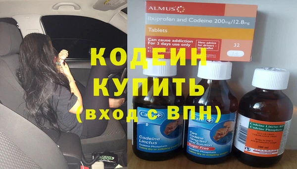 ГАЛЛЮЦИНОГЕННЫЕ ГРИБЫ Гусев
