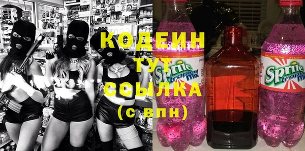 ГАЛЛЮЦИНОГЕННЫЕ ГРИБЫ Гусев