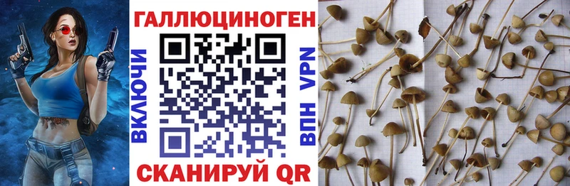 Псилоцибиновые грибы мицелий  что такое наркотик  Одинцово 